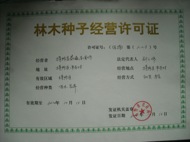 博野县泰森苗圃场：行业动态与未来展望